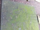 image of grave number 616798
